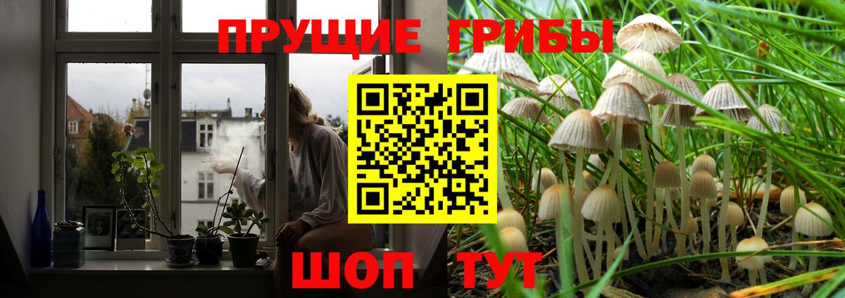 Галлюциногенные грибы GOLDEN TEACHER  Псилоцибиновые грибы Psilocybe  Вход с VPN  Домодедово 