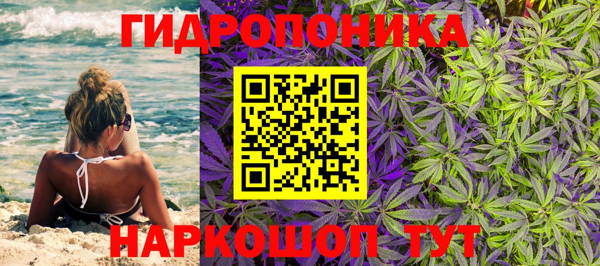 Бошки марихуана Bruce Banner  Вход с VPN  Домодедово  МАРИХУАНА VHQ  Каннабис сатива 